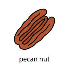 Pecan nut color icon