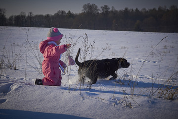 Dziewczynka goni się z dużym czarnym psem po śniegu w zimę. © Rajtar photography