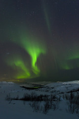 Fototapeta na wymiar At night in the winter hills,tundra and trees and in the sky the stars, Aurora.