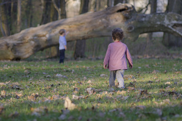 Dzieci bawią się w parku jesienią. - obrazy, fototapety, plakaty
