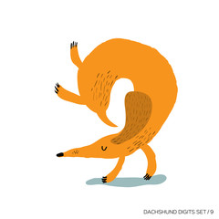 Cute dachshund. Cartoon vector illustration. - 178370541