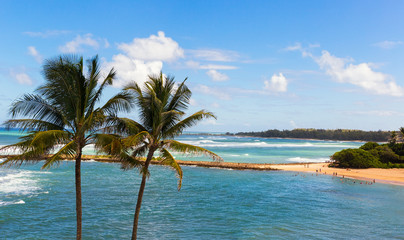 Fototapeta na wymiar Beach with Palm Trees and Tourists