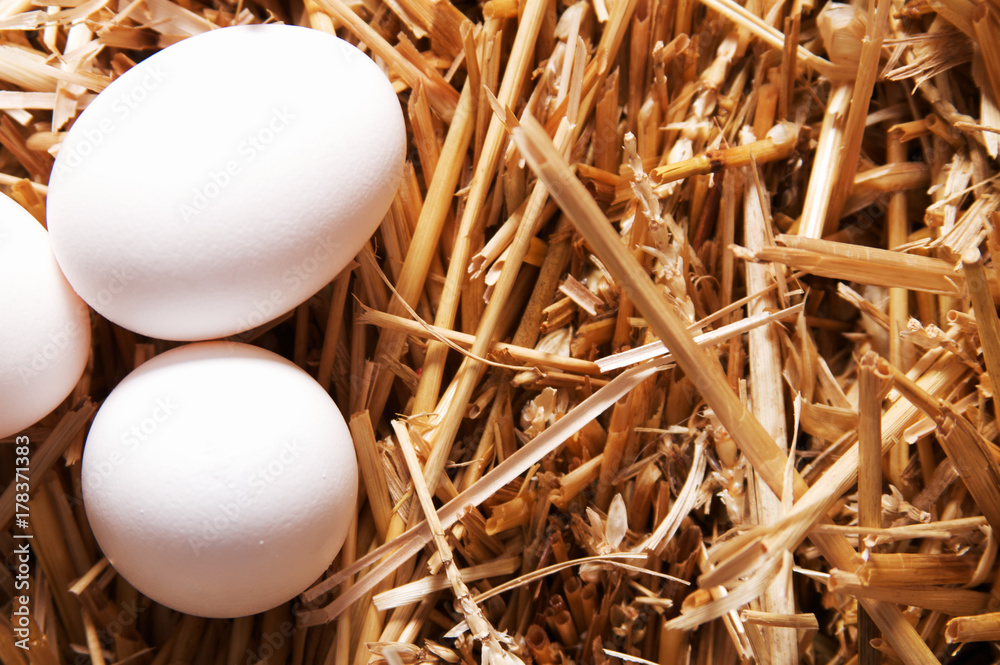 Wall mural Eggs on Hay