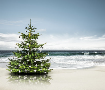 Weihnachtsbaum am Strand