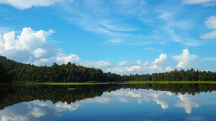 Landscape green trees forest with blue sky white cloud and reflection on Lake, soft focus for nature background