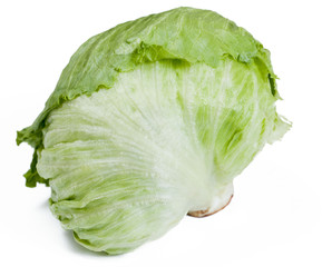 Green cabbage isolated on white background