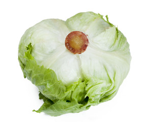 Obraz premium Green cabbage isolated on white background