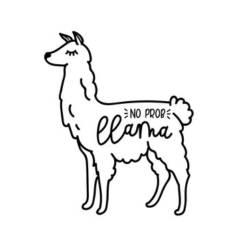 Llama vector quote with doodles. No prob llama motivational and inspirational quote. Simple cool white llama head drawing hand drawn vector illustration for cards, t-shirts, cases.