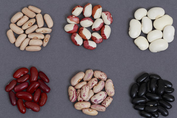 Multicolored kidney beans on a gray background