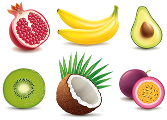 exotic fruits- pomegranate, kiwi, coconut, banana, avocado, passionfruit