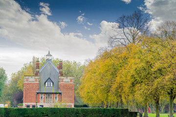 Autumn time in a park with lush foliage