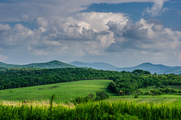 The beauty of nature