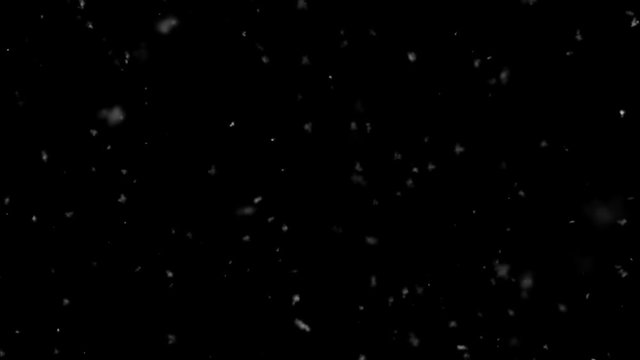 Christmas Morning Snow Falling Away- Super Slow - Medium Shot - Loop - Alpha Channel	