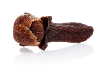 Clove