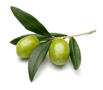 Olives On White Stock Photo - Download Image Now - Olive - Fruit