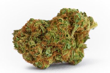 Close up of prescription medical marijuana flower Space Cowboy hybrid strain sativa dominant 