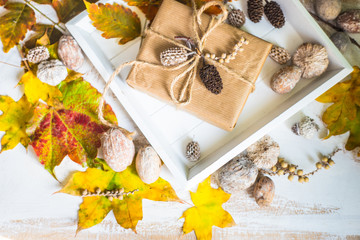 Autumnal concept with yellow leaves