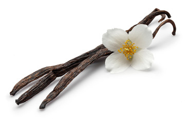 Vanilla sticks with jasmine flower