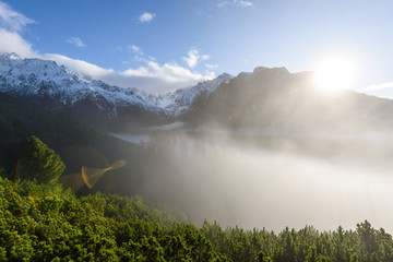 mist covered mountains with forests