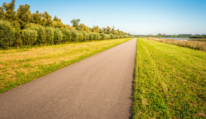 Seemingly endless asphalt country road in a Dutch polder on a sunny day in the beginning of the fall season. On the left side of the road are trees and on the right side reed plants and water.