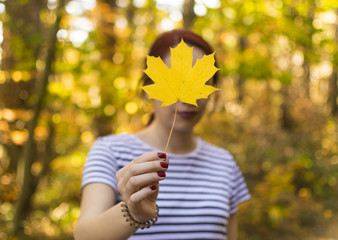 Girl in stripped t-shirt holding yellow leaf in front of hers head in autumn forest
