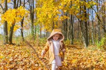 Cute baby walking on yellow leaves in autumn park