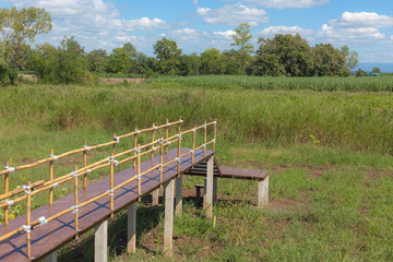 A wooden bridge extends into the green fields.
