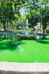 Fototapeta na wymiar Fountain : 噴水・公園
