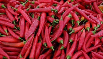 chilli / chili / paprika
