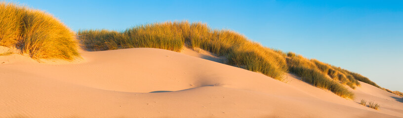 Sand dunes and grasses on a beach - panorama