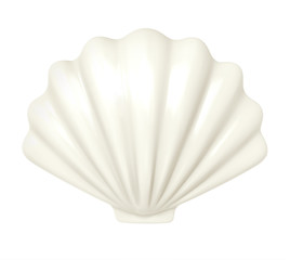 White seashell. 3d illustration isolated on white background