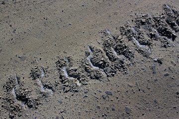 Track of a crawler tractor on a dirt road