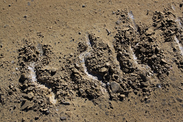 Track of a crawler tractor on a dirt road