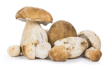 Porcinis (raw) isolated on white background