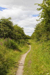 country footpath