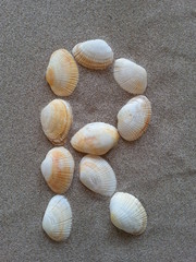 alphabet buchstabe R aus muscheln im strandsand