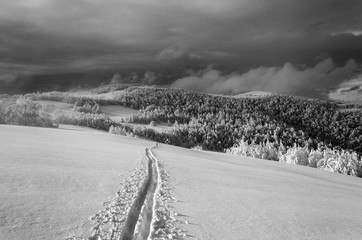 Winter mountain landscape with lonely ski run