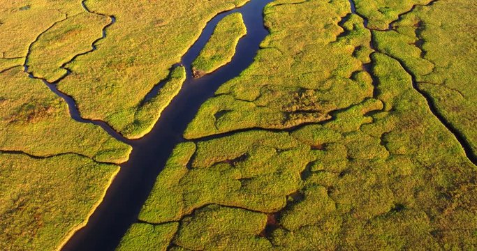 Aerial Birds Eye View Of Green Wetlands at Sunset 