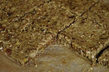 Veganer Ingwer Birnen Energieriegel