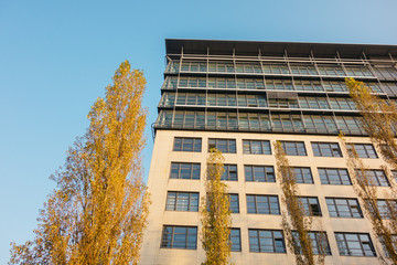 low angle view of big office building with yellow trees