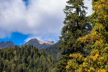 mountains clouds trees