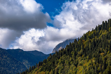 mountains clouds trees