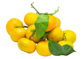 Pile of fresh ripe mandarin with small twigs and leaves.