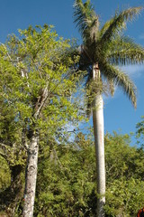 Kuba - Comandancia von Fidel Castro und Ché Guevara in der Sierra Maestra