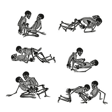 Human Skeleton Kamasutra Set. Vector Illustration.