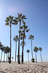 Plage Los Angeles