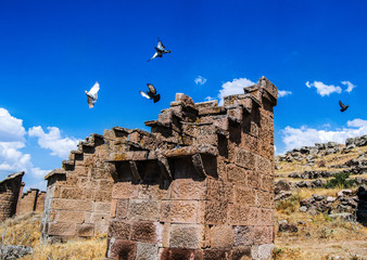 güvercinlikler © ahmet