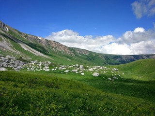 Fototapeta premium Mountains