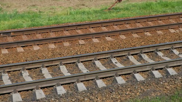 Close View Of Railroad Track Moving At High Speed. Camera moves along railway. 