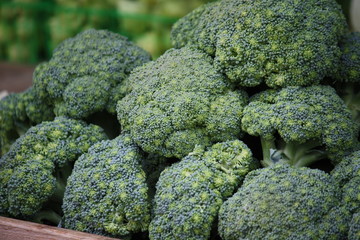 Broccoli Piles